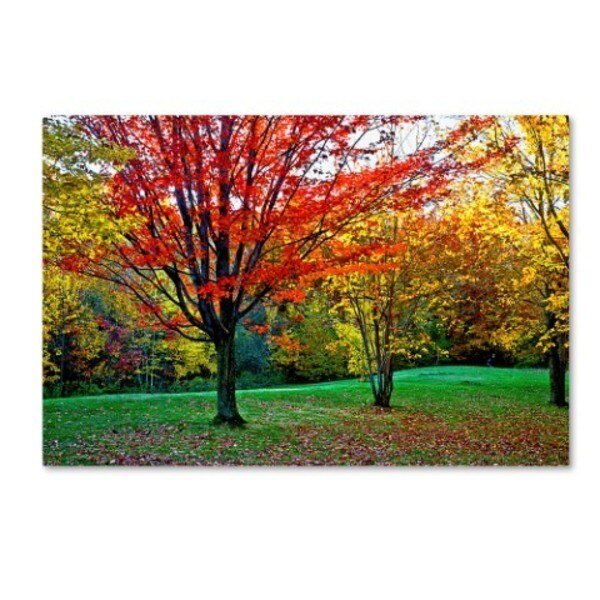 The Lieberman Collection 'Trees' Canvas Art, 30x47, Trademark Fine Art, Mfr#: ALI12108-C3047GG